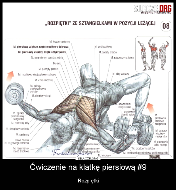 Z Jaką Częstotliwością Uciskamy Klatkę Piersiową Ćwiczenie na klatkę piersiową #9